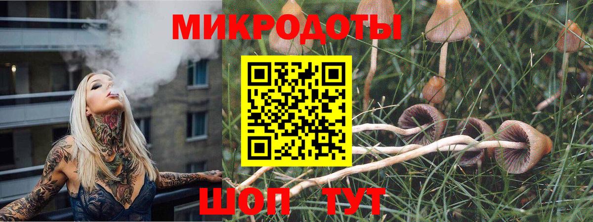 Галлюциногенные грибы Magic Shrooms Артём