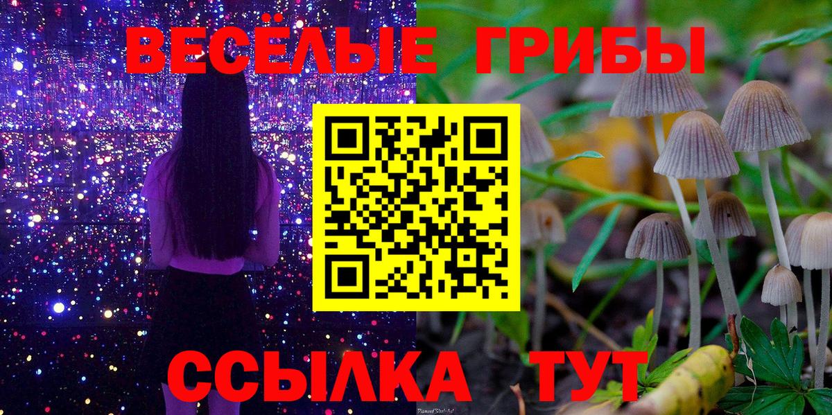 Псилоцибиновые грибы Magic Shrooms  Галлюциногенные грибы Psilocybe  Артём  Вход с VPN 